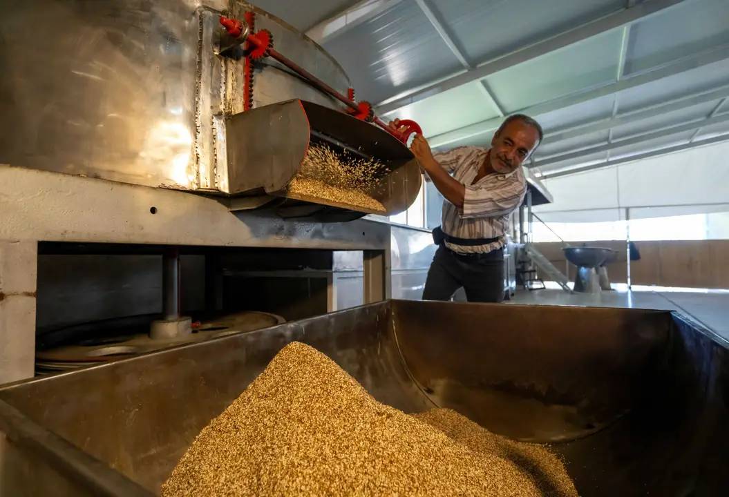 Manavgat Altın Susamının İzinde 6